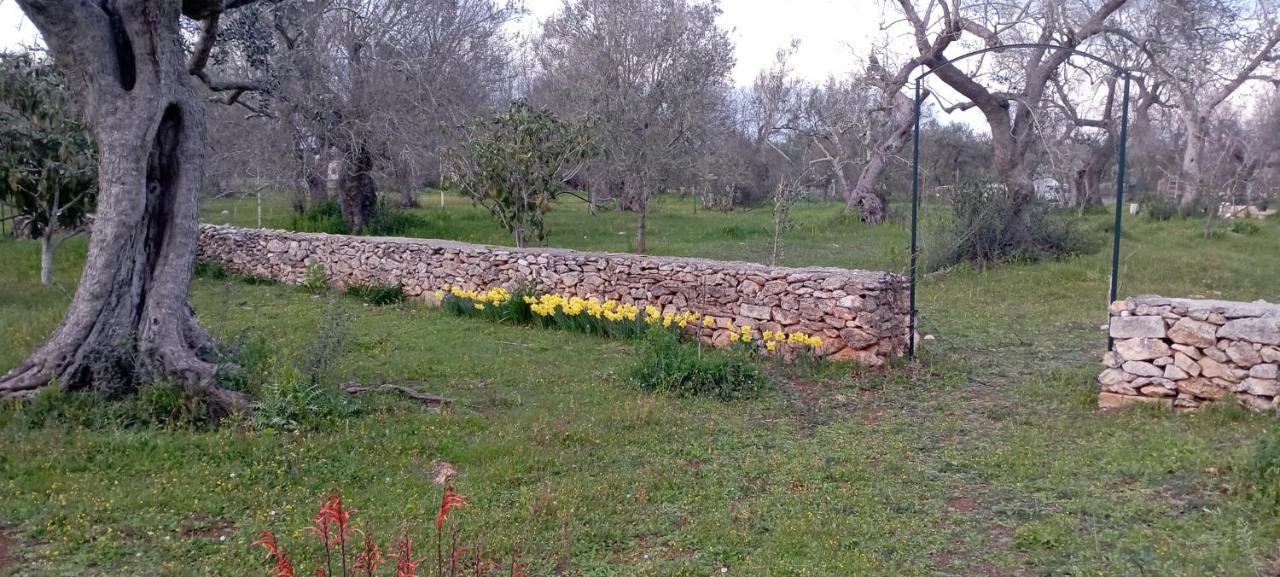 La Petraia Villa Magliano Exterior foto