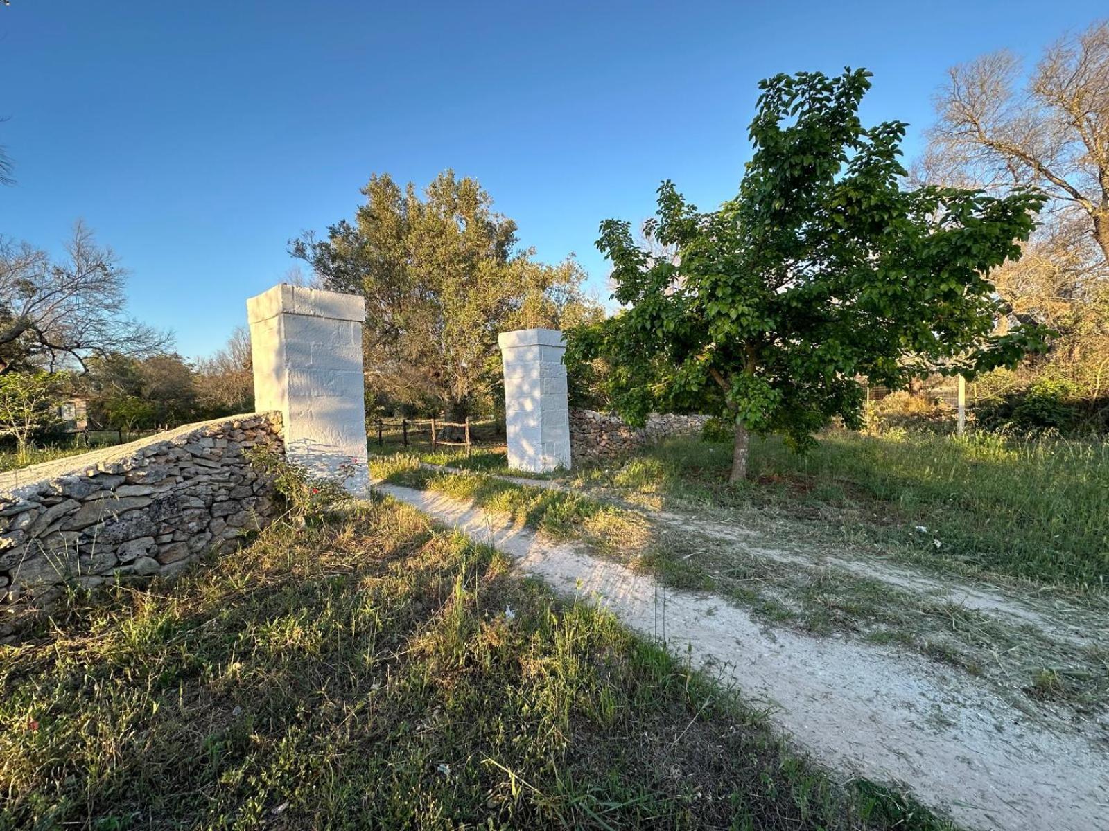 La Petraia Villa Magliano Exterior foto