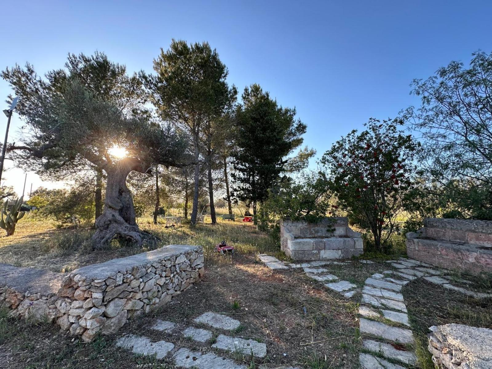 La Petraia Villa Magliano Exterior foto