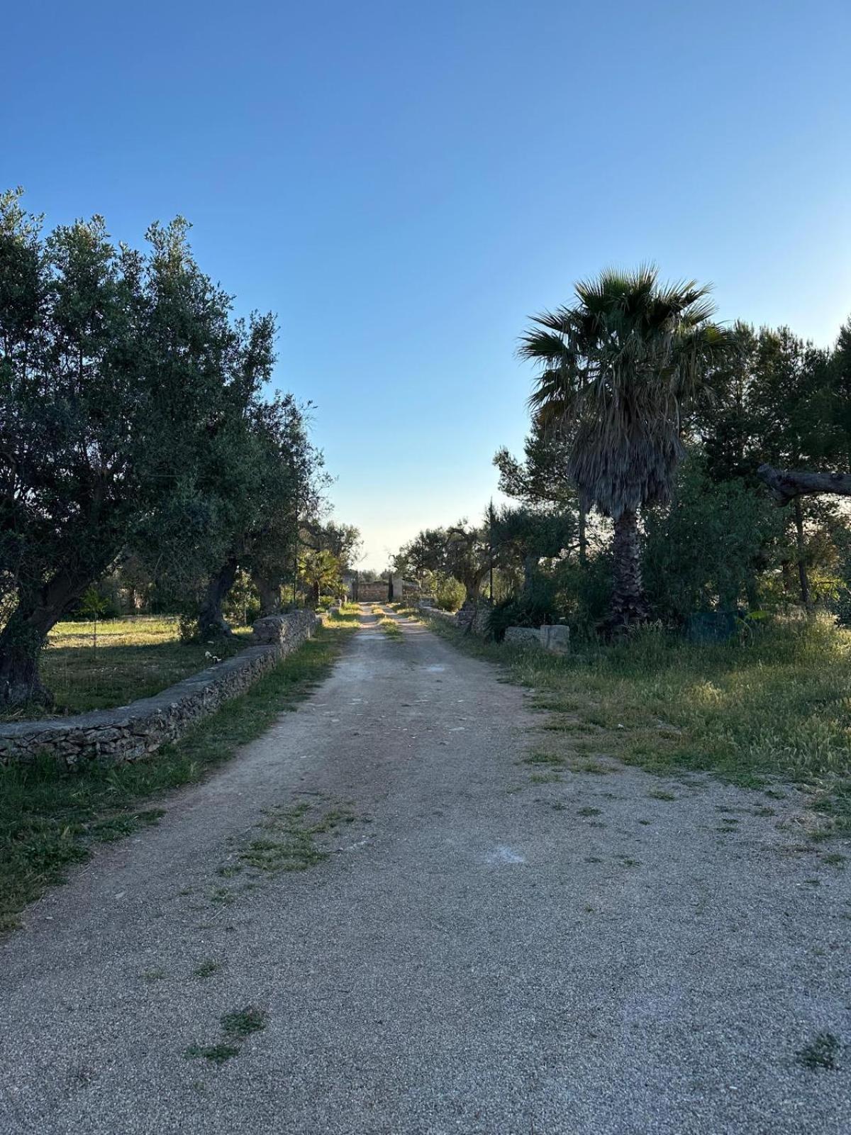 La Petraia Villa Magliano Exterior foto